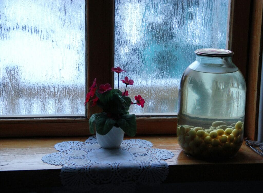 Roślinka oraz słoik leżące na drewnianym parapecie